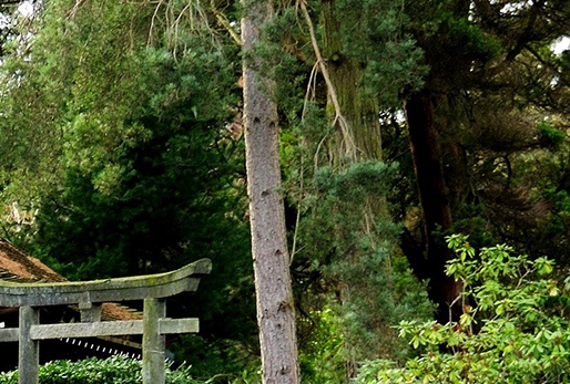 玉米胚芽粉传销骗局