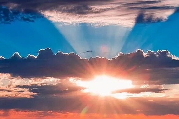 聪明象儿童丙粉颜料