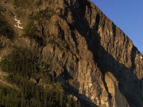 粉象生活下载app