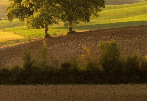 生活所迫不得不努力的句子