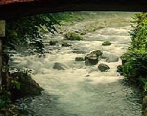 粉象生活是个坑