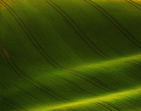 粉象生活怎么看购物信息