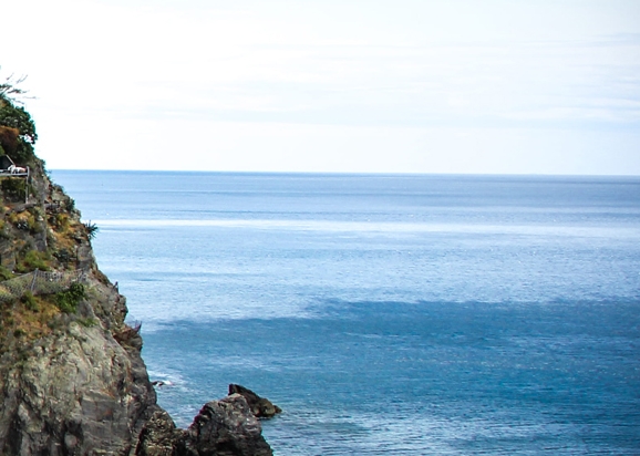 粉象生活里怎么看订单