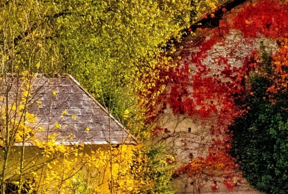 在粉象生活买东西为什么便宜