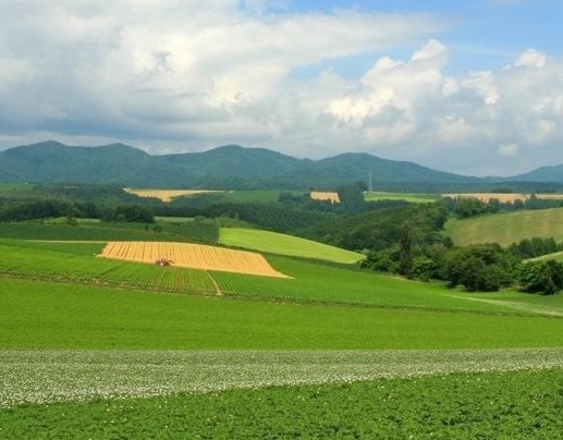 粉象生活上怎么推广