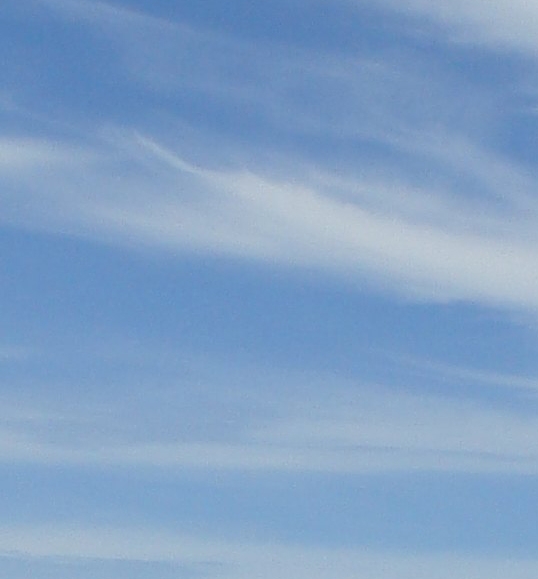 丽江粉象生活app