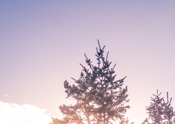 粉象生活怎么邀请人开通