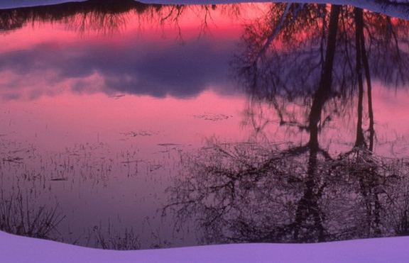 粉象生活必须要买会员吗