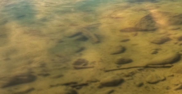 拼多多上的牛奶粉能不能买