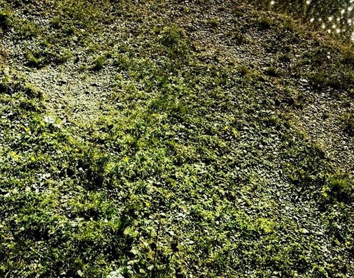 粉象生活怎么找淘宝客