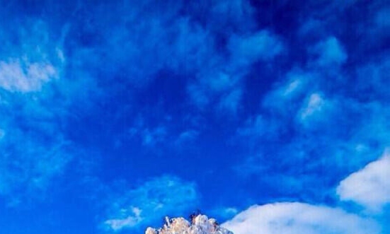 粉象生活月饼多少钱