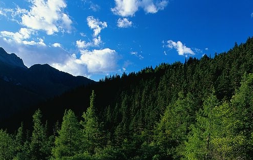 粉象生活能赚钱吗