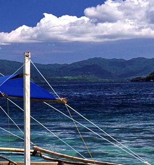 粉象生活需要开通什么