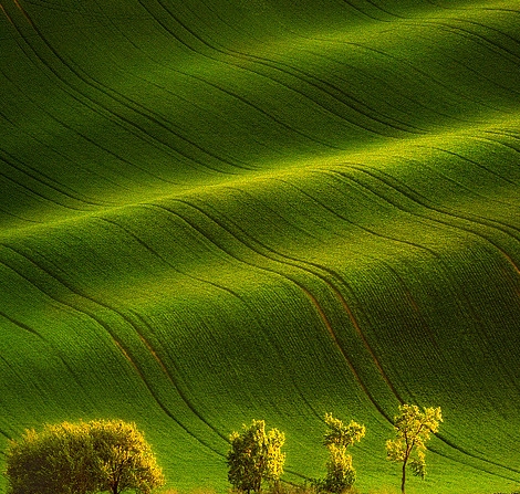 浙江粉象生活app