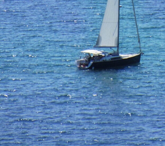 粉象生活秒抢神器手机版