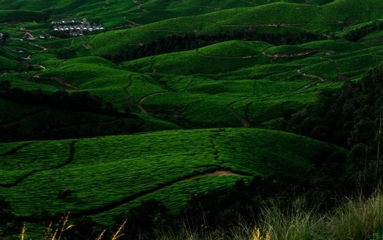 粉象生活会骗人钱吗