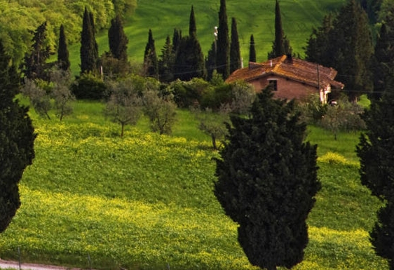 牛奶粉有沉淀物正常吗