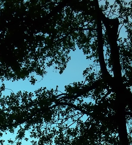 弯湾爱生活汽车生活馆