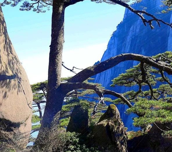 粉象生活能赚到钱吗