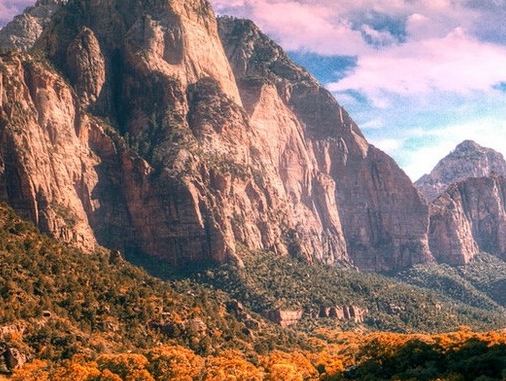 粉象生活下载app