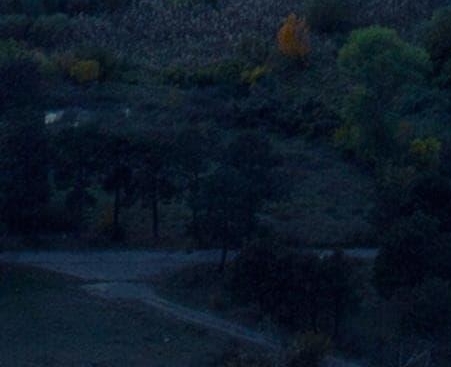 粉象生活官方代理