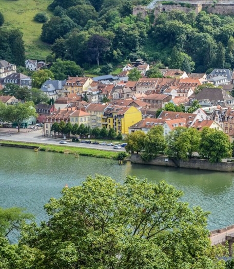 粉象生活怎么赚钱