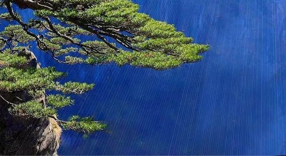 辽宁粉象生活app