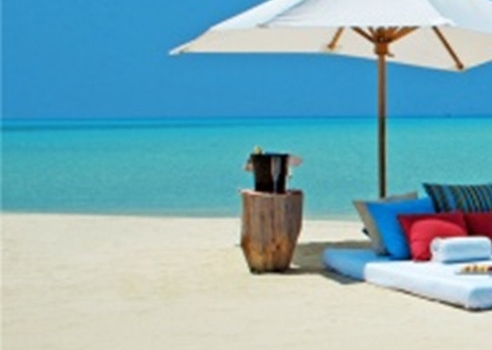 粉象生活真实收入