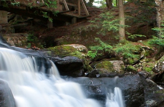 粉象生活下载app