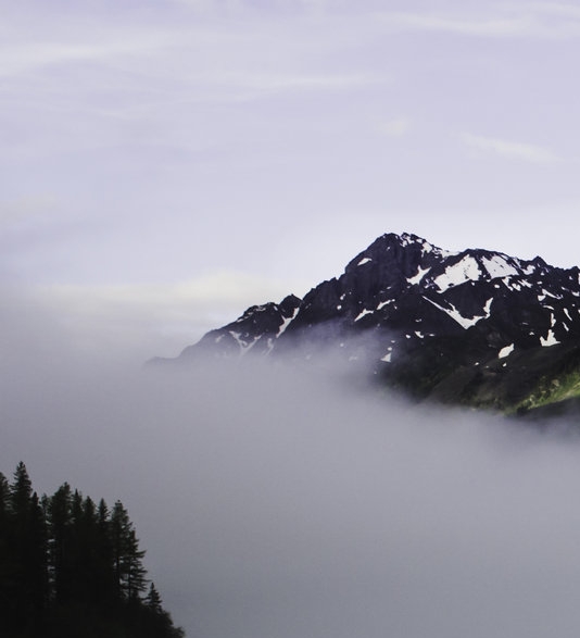 爱生活的叶叶子啊