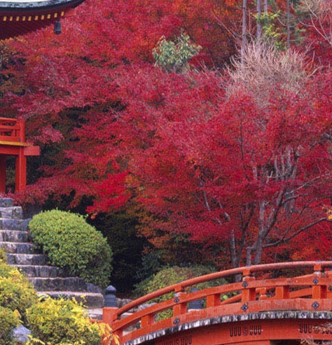 粉象生活怎么做任务赚积分