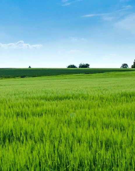 旅游未来发展趋势调查报告ppt