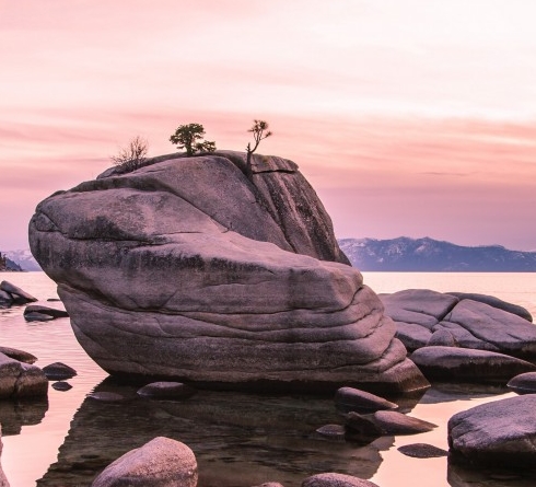 粉象生活淘宝怎么授权不了