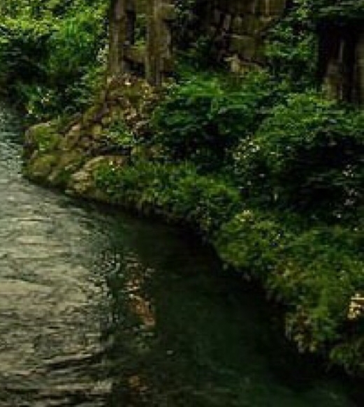 粉象生活怎么查