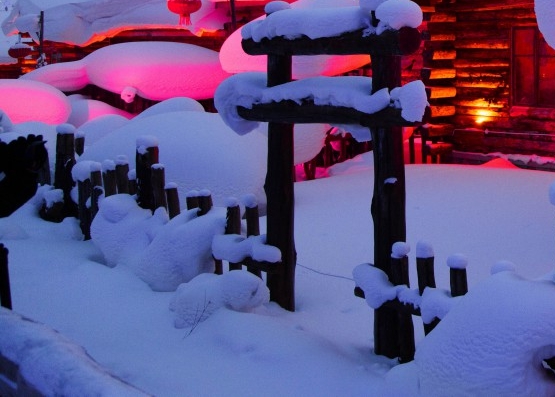 粉象生活购物平台真实吗