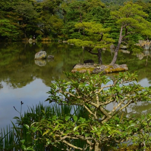 亳州粉象生活团队