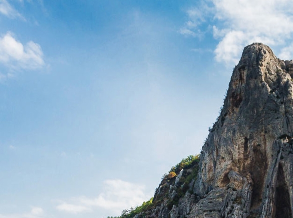 粉象生活下载app