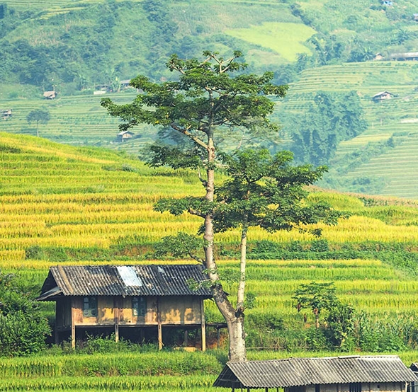 粉象这个平台合法吗