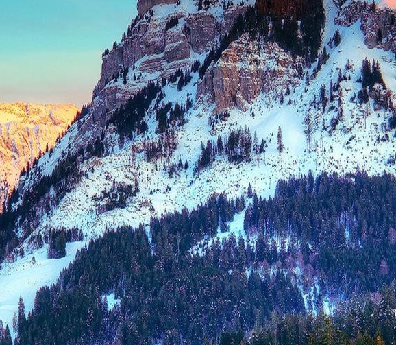 粉象生活怎么赚钱的