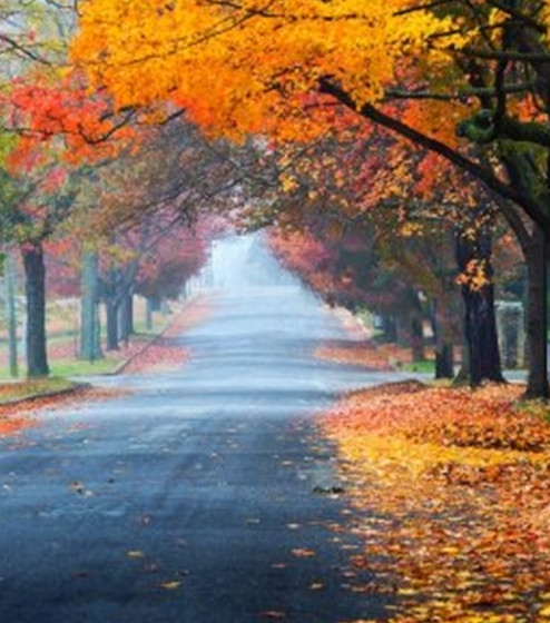 粉象生活怎么赚钱