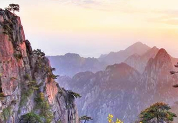 粉象生活合法吗