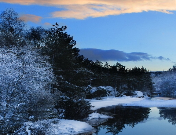 注册粉象生活有风险吗
