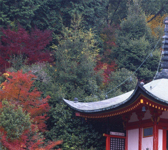 粉象生活是干嘛的