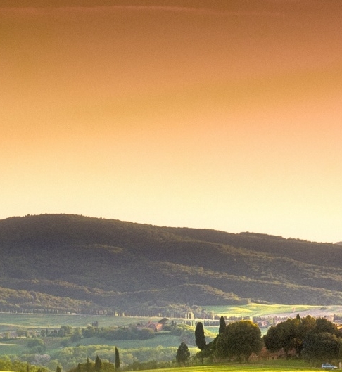 粉象生活邀请码