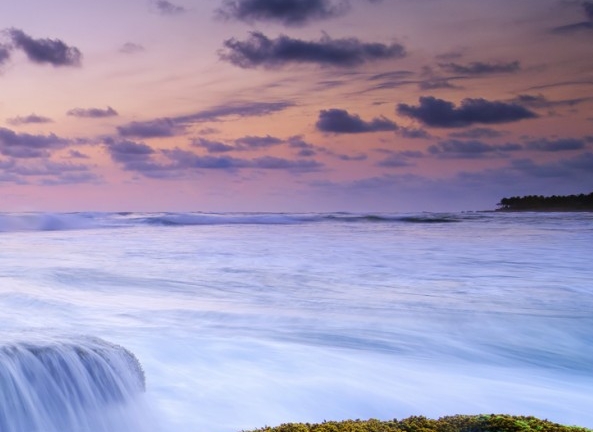 粉象生活399会员