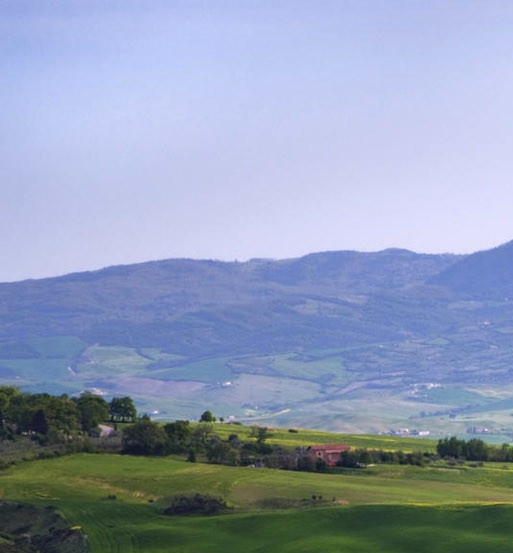 粉象生活怎么升级