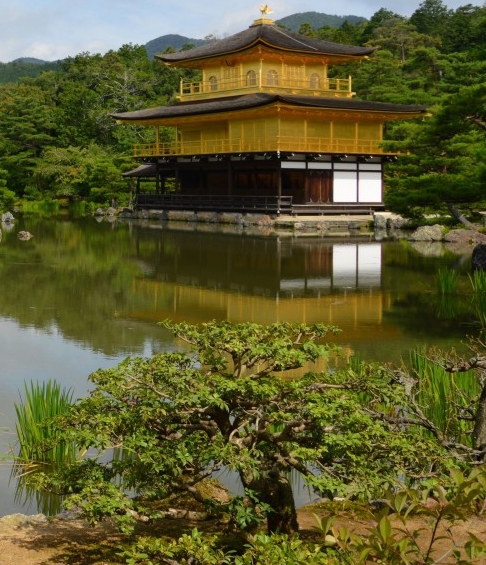 粉象世界app官方下载