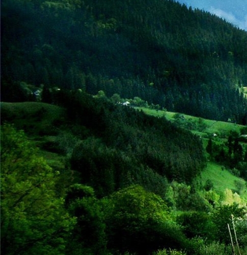 粉象生活战略策划