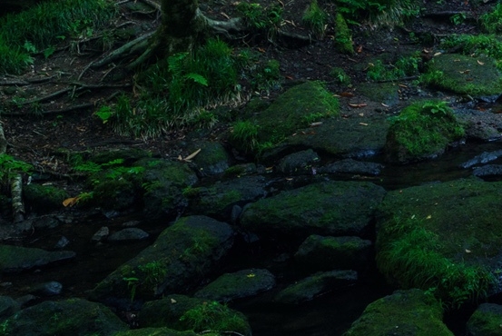 粉象生活的订单怎样查物流