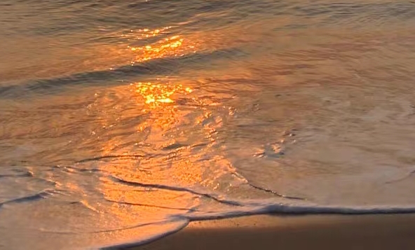 抖音粉象生活官方邀请码